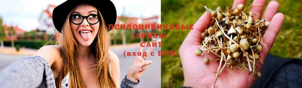 гашик Заволжск