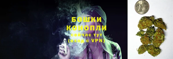 2c-b Заводоуковск