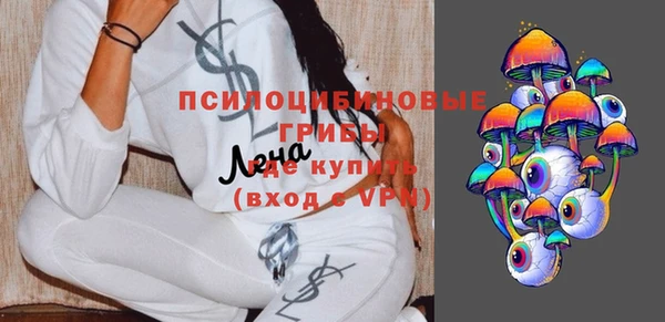 гашик Заволжск