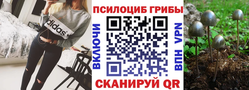 Псилоцибиновые грибы Cubensis  Купить где  Велиж 